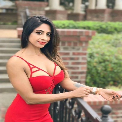 Udaipur Escorts Service
